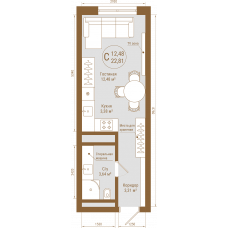Планировка: Студия, 22.8 м²
