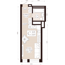 Планировка: 1-комн. квартира, 24.9 м²